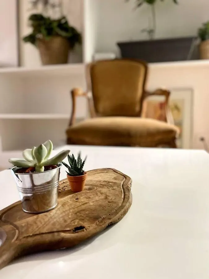 The Big Island Apartment Paris France